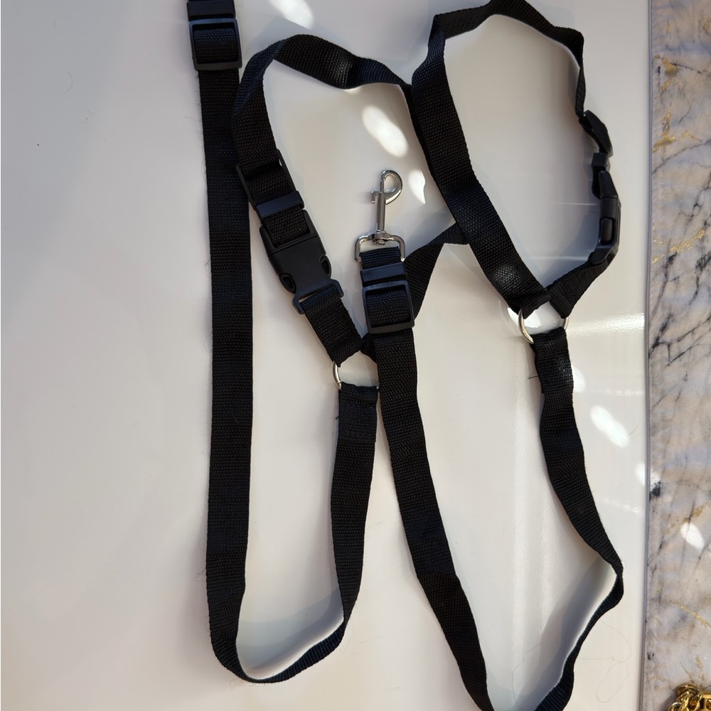 Dog headrest seat belt leash